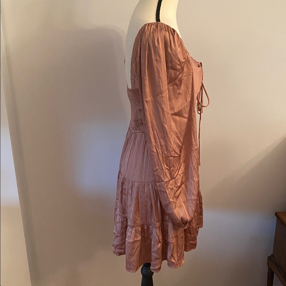 Mink pink NWT Spencer rose XS mini dress - Picture 4 of 8